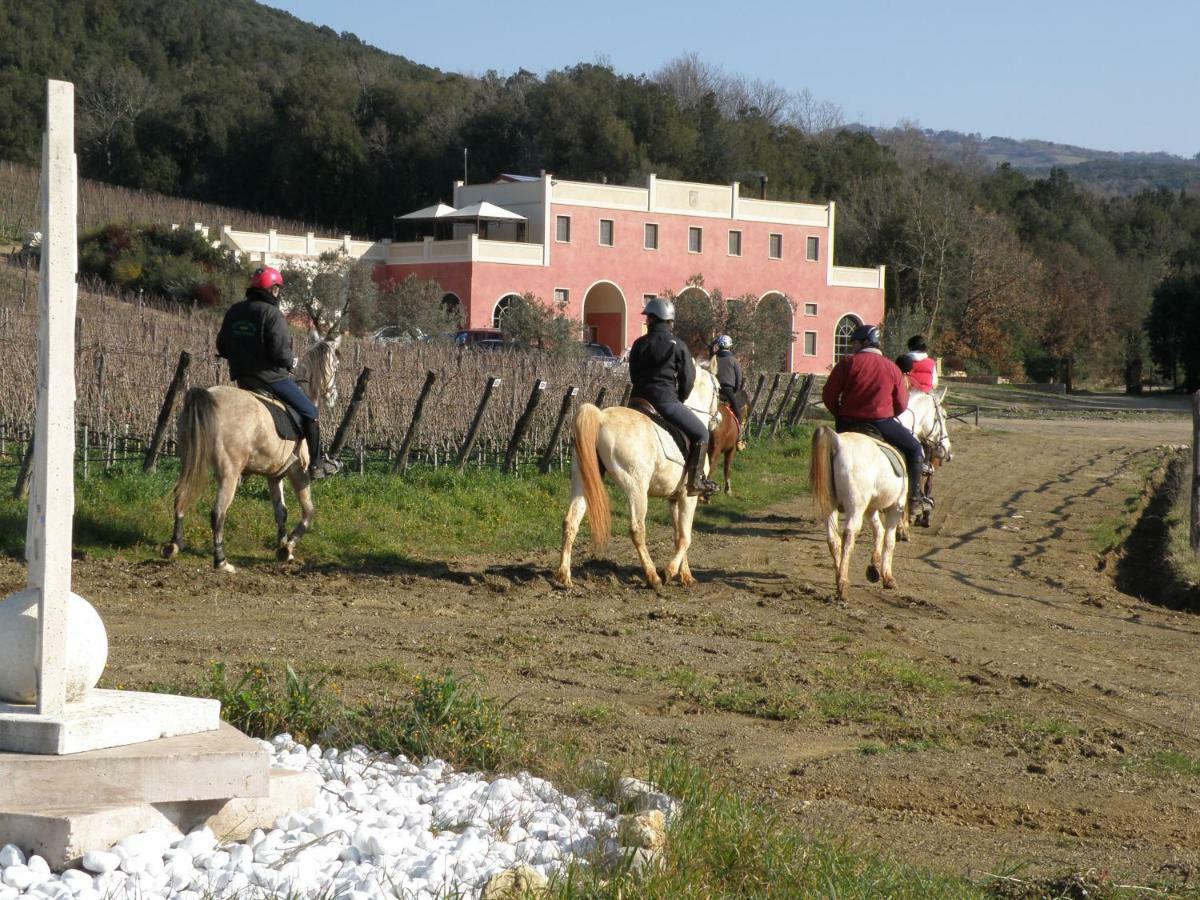 Tenuta Il Sassone - Wine&Food Massa Marittima Luaran gambar