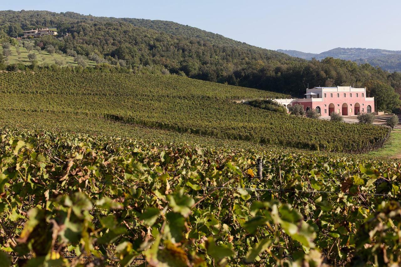 Tenuta Il Sassone - Wine&Food Massa Marittima Luaran gambar