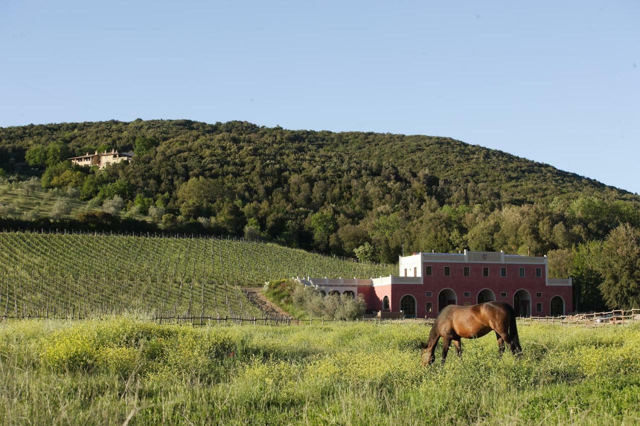 Tenuta Il Sassone - Wine&Food Massa Marittima Luaran gambar